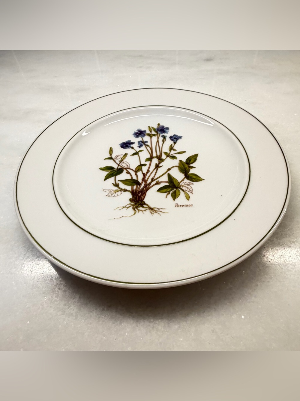 Vintage JKW Bavaria Germany Pervinca Botanical Floral Porcelain Plate 7.75"